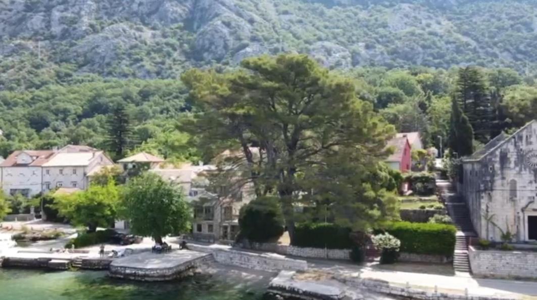 Apartment On The Shore Of The Bay Of Kotor With Free Wi-Fi 外观 照片